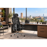 Chaise de Direction /F49P MESH