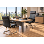 Fauteuil Président /SENATOR-112P