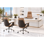 Packs Chaises /F44 - Fauteuils de Direction AFICUIR